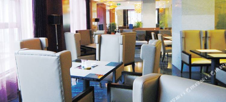 林芝岷山大酒店图片