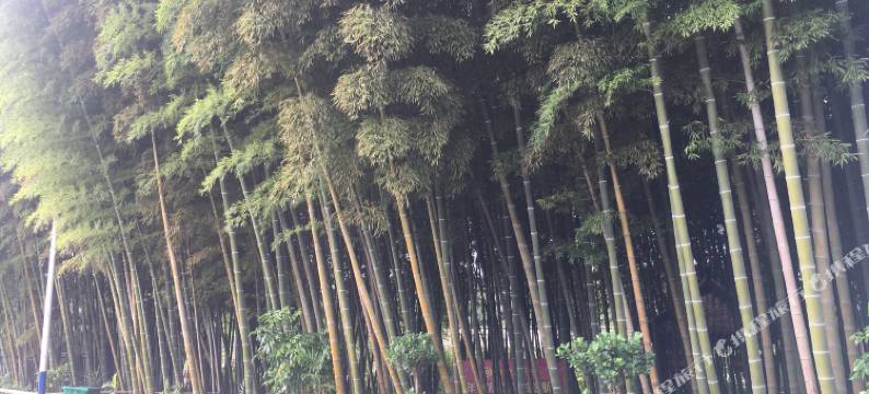 黄梅竹缘居宾馆图片