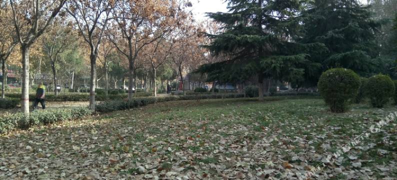 小城青旅(焦作火车站店)图片