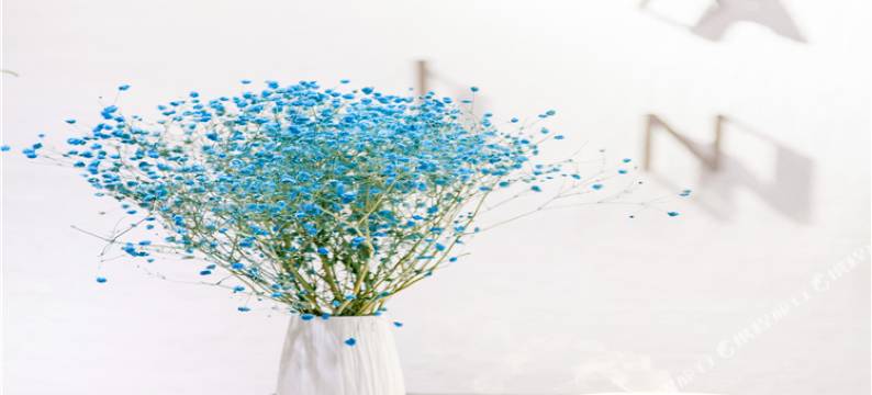 7天酒店(长沙湖南广电长沙大学店)图片