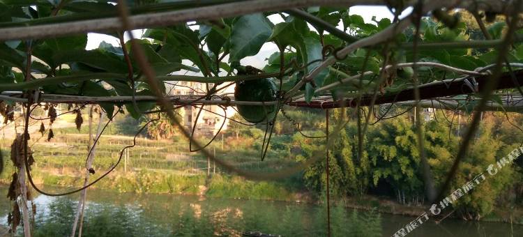 永定土楼梦辉家庭客栈(永定土楼店)图片