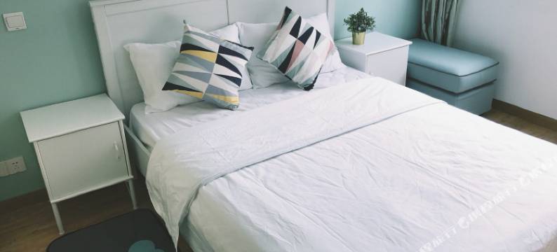 上海弄堂里13号线淮海中路清新Loft普通公寓(分店)图片