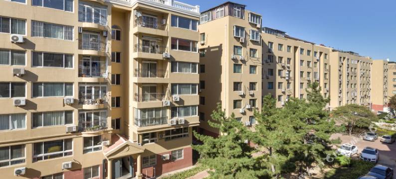 威海人间草木公寓图片