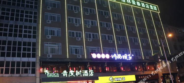 青皮树酒店(合肥安庆西路安农大地铁站店)图片