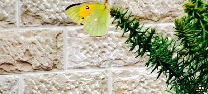 丽江沐雲雪居别墅庭院图片