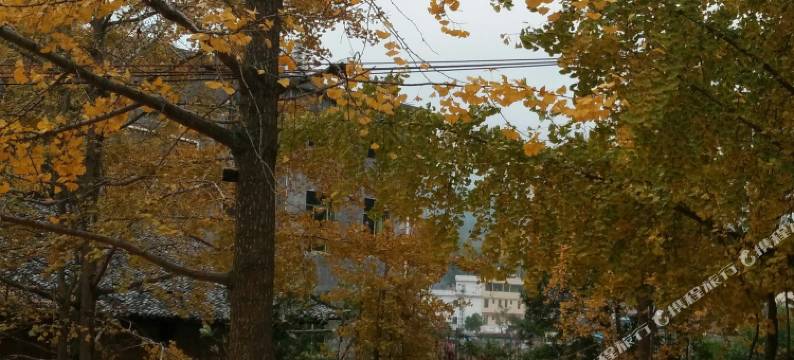 南雄旺兴酒楼图片