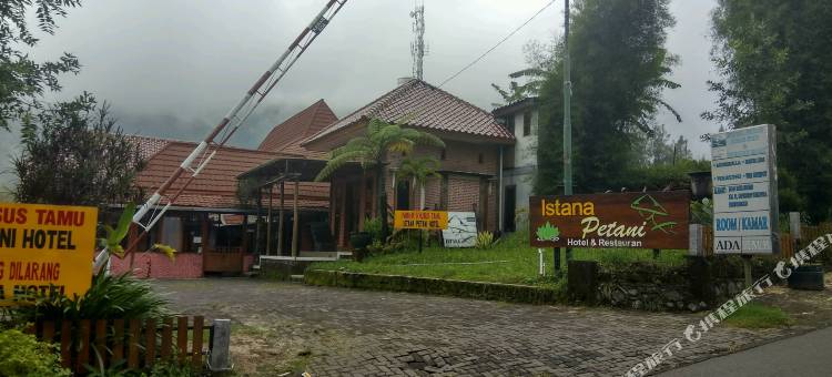 伊思坦纳佩塔尼酒店(Istana Petani Hotel)图片