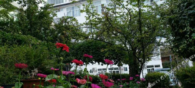 剑川剑湖大酒店图片