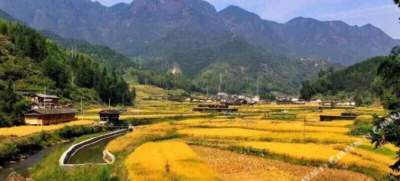 庆元月山成仙居图片