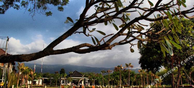 Gino Feruci Villa Lovina图片