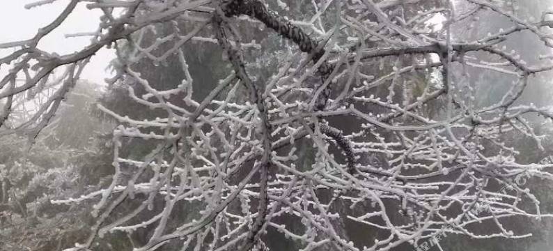 衡阳oyly99普通公寓图片