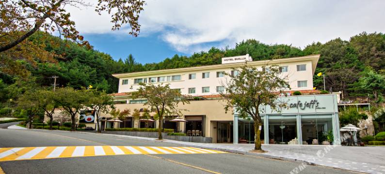 八公艾美利亚酒店(Palgong Emillia Hotel)图片