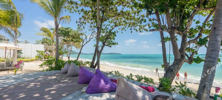 苏梅岛白沙度假村(White Sand Samui Resort)图片