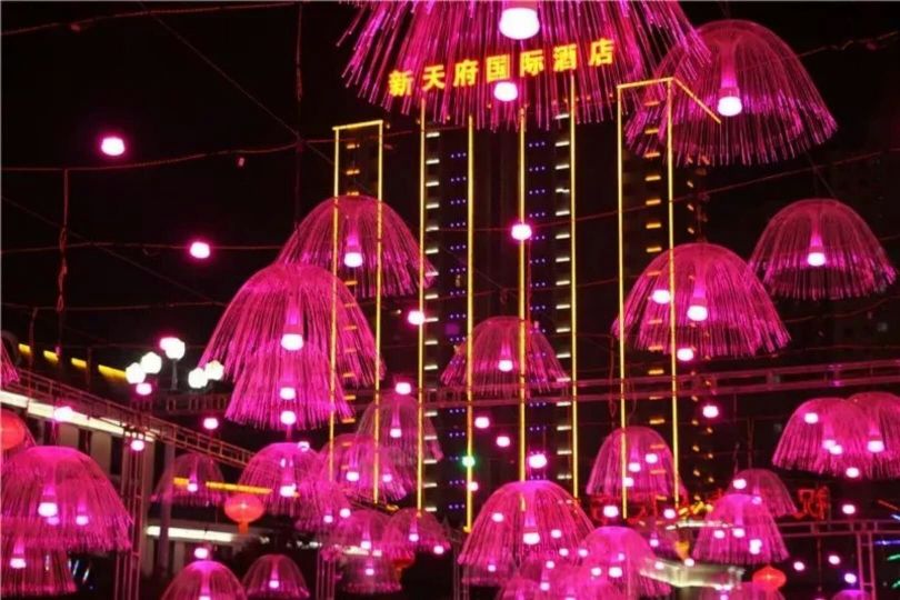 Xintianfu International Hotel Over view