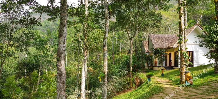 尼拉马亚卡达莫姆俱乐部旅馆(Niraamaya Retreats Cardamom Club)图片