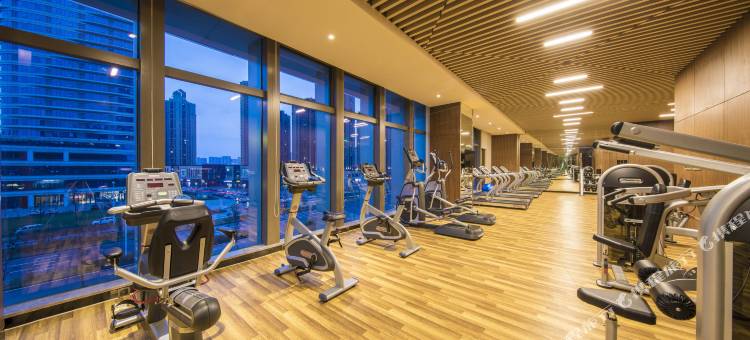 襄阳绿地铂骊酒店图片