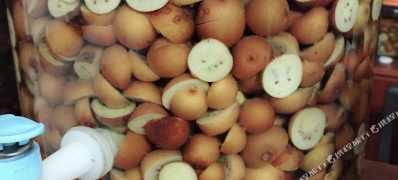 仙居丽日农家乐图片