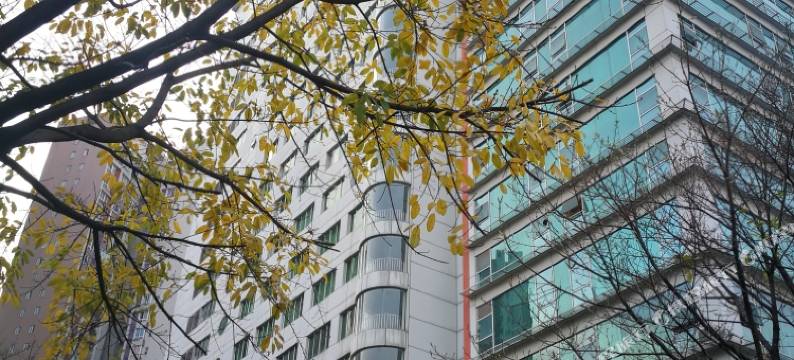 重庆宾馆太阳城图片
