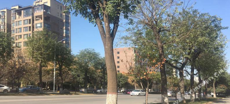 西安秋千小栈普通公寓(体育路店)图片