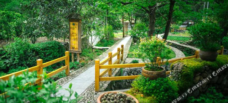 景宁伏源一叶客栈图片