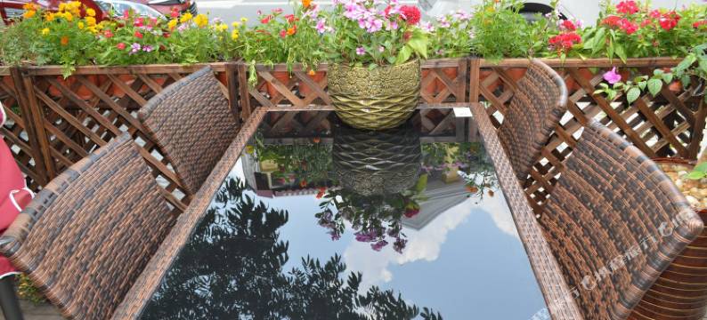 杭州曼禾客栈(西湖青芝坞店)图片