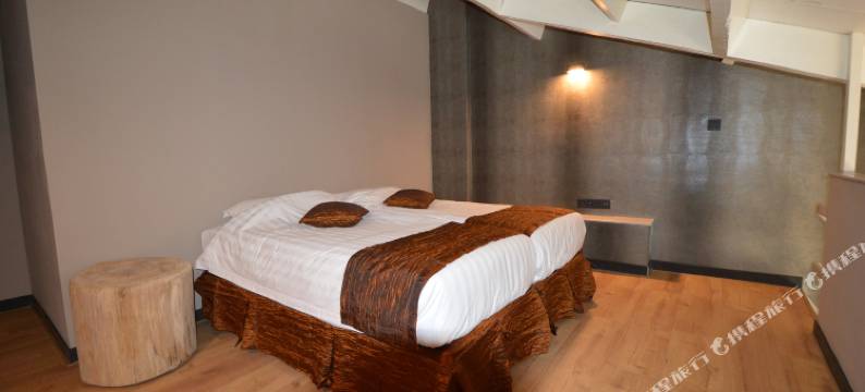 艾莫萨列日市中心酒店(Amosa Liège City Centre Hotel)图片