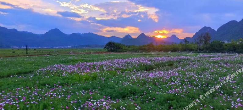 丘北古井园逸香阁客栈图片