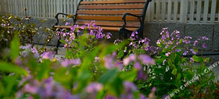 莫干山富鸿山居图片