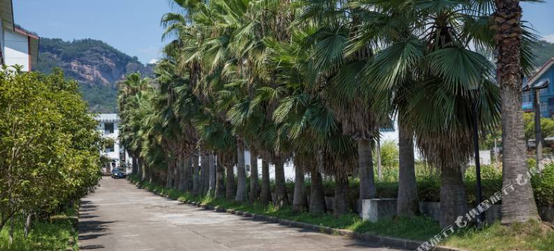 武夷山颐阳度假酒店(印象大红袍店)图片