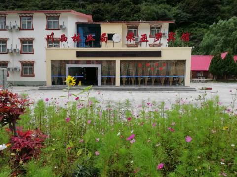 理县米亚罗宾馆