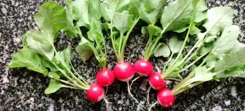 蓬莱沐恩宾馆图片