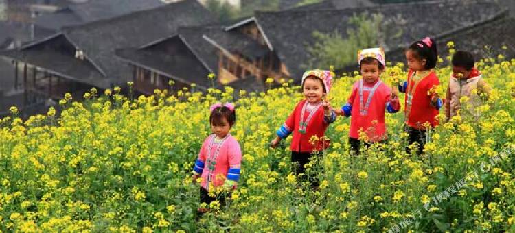 龙胜山景楼客栈图片