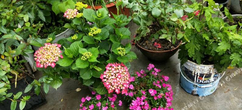 神农架宝捷家庭旅馆图片