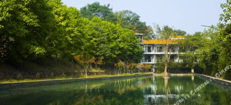 重庆紫竹宾馆图片