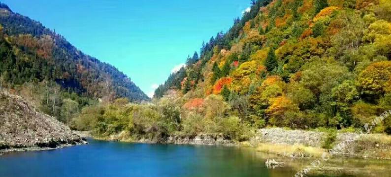 黑水周瑞客栈图片