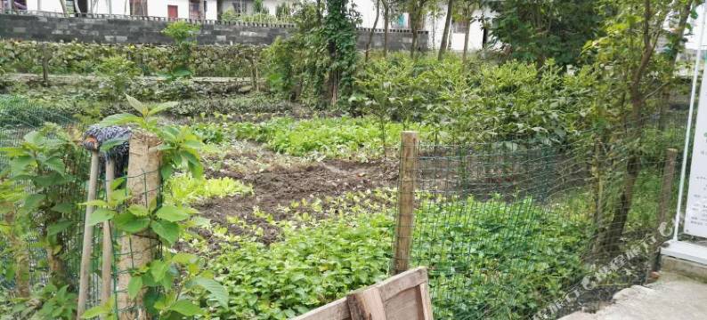 明月山山水苑农家乐图片