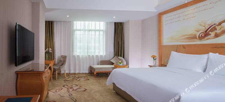 维也纳酒店(惠州博罗罗浮山景区高铁站店)图片