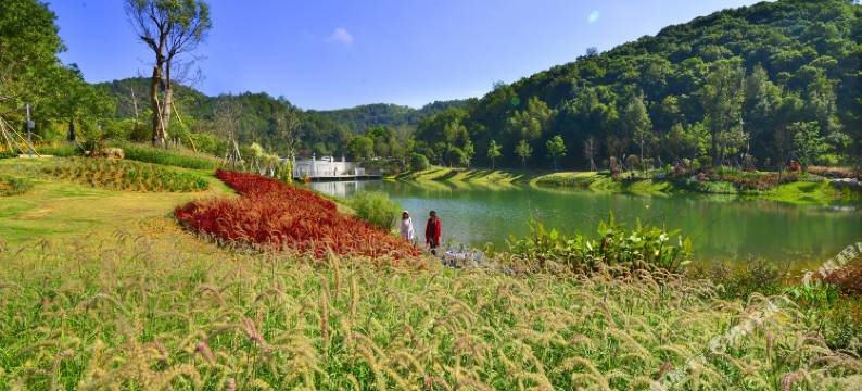 梅州雁山湖国际花园度假区图片