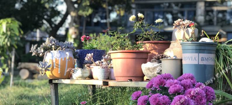 繁花似锦觅安宁海岛客栈(涠洲岛贝壳沙滩店)图片