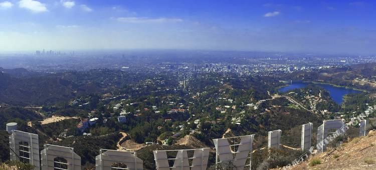 比佛利山AC酒店(AC Hotel Beverly Hills)图片