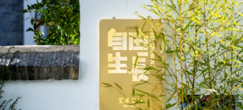 丽江自由生长艺术客栈图片