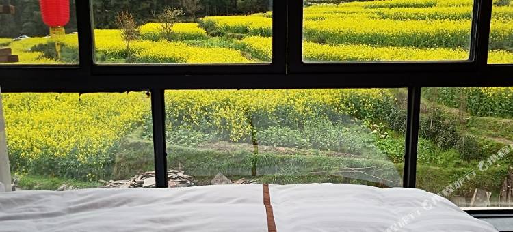婺源老村长家民宿(江岭景区店)图片