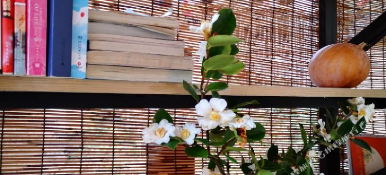 歙县阳产土楼云起时民宿图片