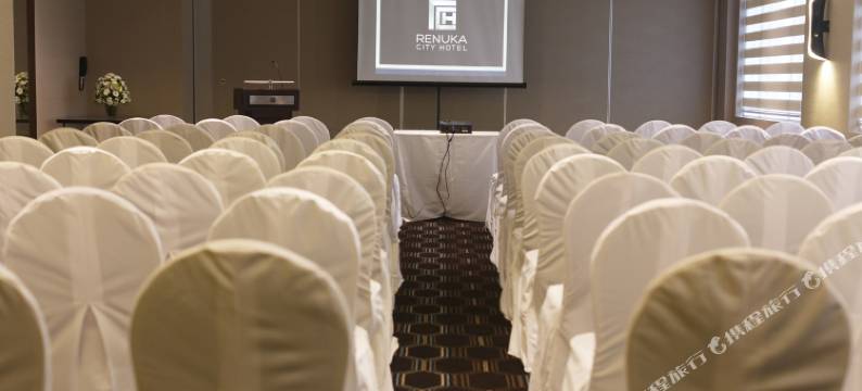雷努卡城市酒店(Renuka City Hotel)图片