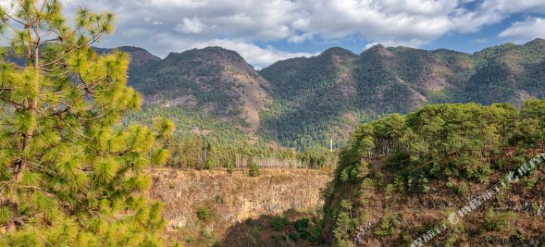 腾冲银杏村本才特景农家乐客栈图片
