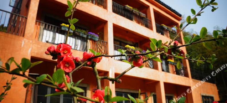 莫干山尚坡HotSpring温泉度假别墅图片