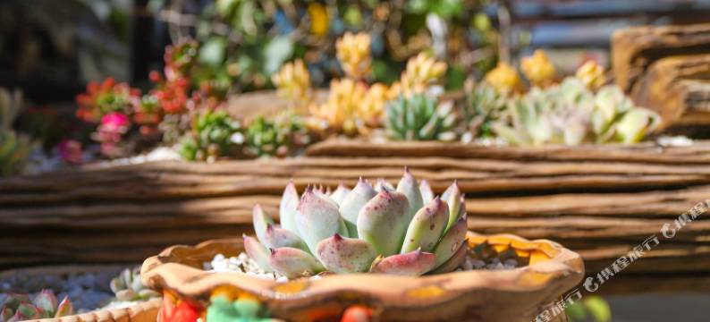 丽江宝祥居·空中花园观景酒店图片