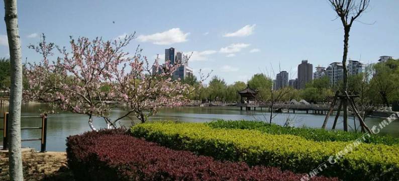 秦皇岛碧海云天港城爱家公寓图片