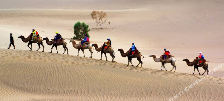 敦煌西行部落·房车自驾游营地图片