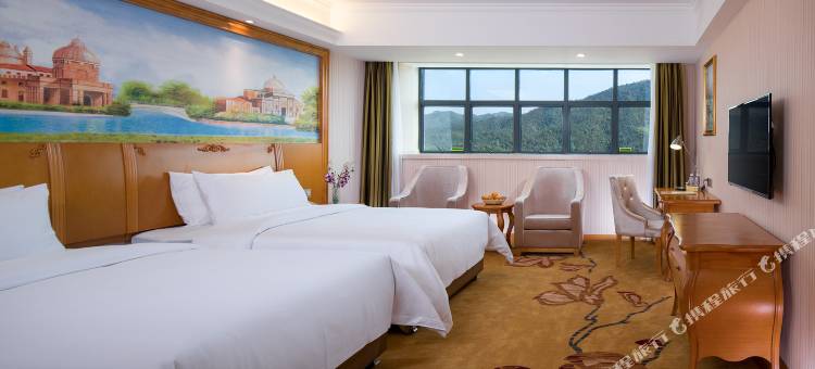 维也纳酒店(新丰店)图片